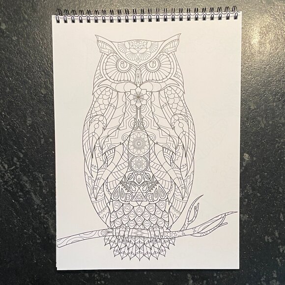 Mindful Relaxation Stress Relief Coloring Book and Markers (NWOT) - Picture 14 of 15